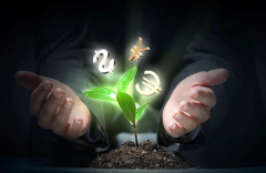 大连:绿色金融助推绿色